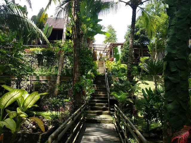 Warung Pulau Kelapa Organic Garden